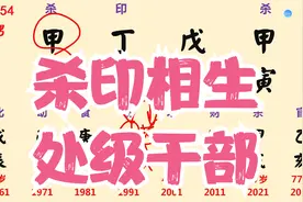 知晓8字093-杀印相生,处级干部视频封面