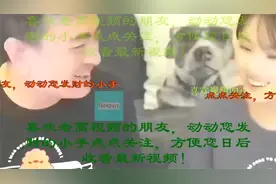 2025老高与小茉，美苏冷战下登月的秘密