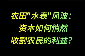 农田水表风波：资本如何悄然收割农民的利益？视频封面