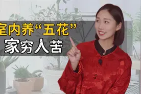 “室内养五花，家穷人苦”，哪五种花不能在室内养？建议收藏视频封面