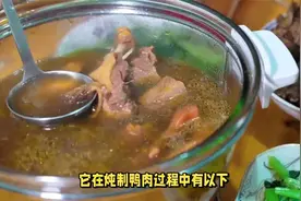 不管鸭肉怎么炖，一只鸭放2克它，鸭肉鲜嫩没腥味，越吃越想吃视频封面