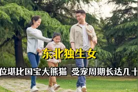 东北独生女地位有多高？40岁还有压岁钱，上了班还有人接视频封面