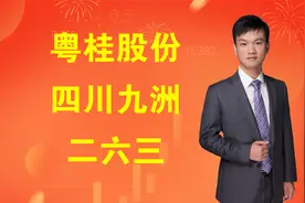连板天梯情绪龙头：粤桂股份，四川九洲，二六三视频封面