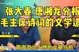 张大春 唐湘龙分析毛主席诗词的文学造诣视频封面