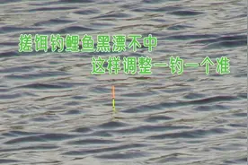 搓饵钓鲤鱼黑漂不中，问题出现在这里，稍微调整有口就中鱼视频封面
