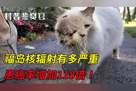日本福岛核辐射有多严重？青少年患癌率增加118倍！动物长出双头视频封面