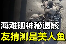 澳洲海滩发现神秘生物遗骸，网友猜测是美人鱼，这会是真的吗？视频封面