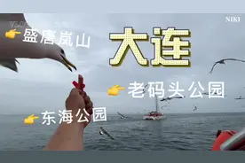 大连正式游玩第一天，你最喜欢的项目是什么？视频封面