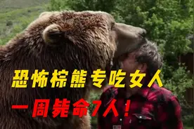 日本史上最惨野兽吃人案 恐怖棕熊专吃女人一周毙命7人！视频封面