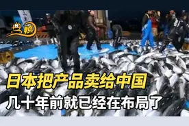 日本有100种方法把产品卖给中国！几十年前就已经在布局了