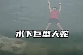男子河里游泳竟发现水下有一条巨型大蛇，地球上真有这么大蛇吗？视频封面