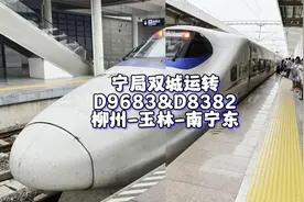 宁局带鱼两连D9683&D8382运转记录 柳州-玉林-南宁东（6月15-17）视频封面