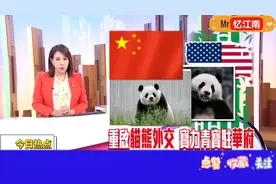 台媒-重启熊猫外交！大熊猫“宝力”“青宝”开启10年旅美生活！视频封面