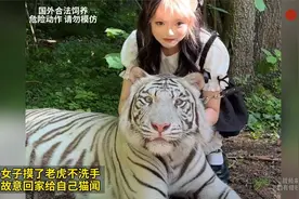 女子摸了老虎不洗手 故意回家给自己猫闻视频封面