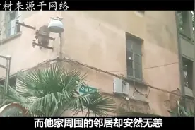 青岛民宅遭遇毒蛇群袭击，邻居却安然无恙，蛇是来报复他的吗？
