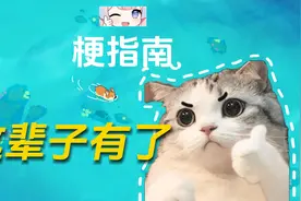 这辈子有了是什么梗？视频封面