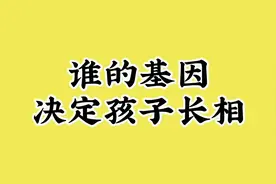 谁的基因，决定孩子长相。视频封面