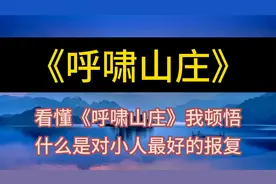 每天听本书：看懂《呼啸山庄》我顿悟，什么是对小人最好的报复视频封面