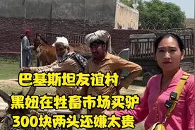 巴基斯坦友谊村，黑妞在牲畜市场买驴，300块两头还嫌太贵！视频封面