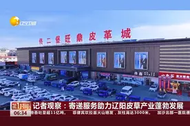 记者观察：寄递服务助力辽阳皮草产业蓬勃发展视频封面