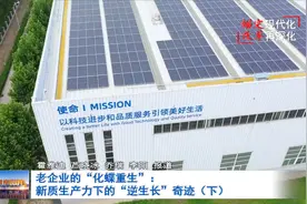 老企业的“化蝶重生”：新质生产力下的“逆生长”奇迹（下）视频封面