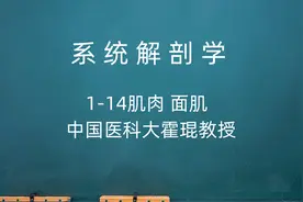 系统解剖学1-14肌肉 面肌 中国医科大霍琨教授视频封面