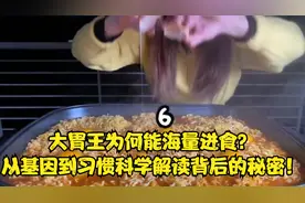 大胃王为何能海量进食？从基因到习惯，科学解读背后的秘密！视频封面