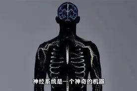 为何人类拥有意识？人类思维的本质是什么？