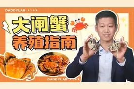 死蟹有毒，蟹吃不完怎么延长存活？亲测有效的养殖经验来了！视频封面