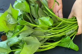 种了半辈子红薯，我们都是这样炒红薯杆，不去皮也不塞牙，还入味视频封面