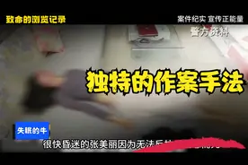 大案纪实之致命的浏览记录，接近完美犯罪的独特手法视频封面