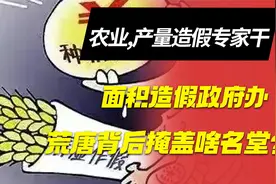 农业，产量造假专家干，面积造假政府办，荒唐背后掩盖何名堂？视频封面