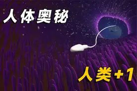 从精子到婴儿，胎盘功不可没，3D动画带你了解生命形成的过程