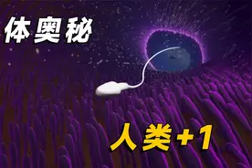 从精子到婴儿，胎盘功不可没，3D动画带你了解生命形成的过程视频封面