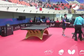 樊振东太有礼貌了！赛前小胖走到裁判席边，等待与裁判握手视频封面