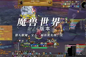 猎人附魔、宝石、输出优先级、宏##魔兽世界 #巫妖王之怒  #猎人视频封面