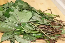 炒红薯叶，注意不要直接下锅炒，教你一招，鲜嫩入味不发黑，真香