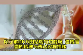 你了解DNA的结构与功能吗？遗传信息的传递与表达过程揭秘！