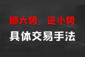 顺大势，逆小势具体交易手法是如何演绎的？这个视频内外兼修视频封面