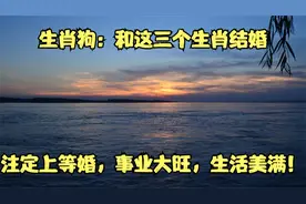 生肖狗：和这三个生肖结婚，注定上等婚，事业大旺，生活美满！视频封面