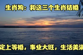 生肖狗：和这三个生肖结婚，注定上等婚，事业大旺，生活美满！视频封面