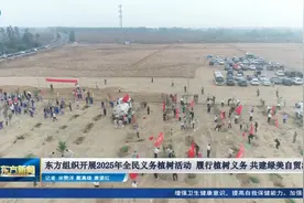 东方组织开展2025年全民义务植树活动视频封面