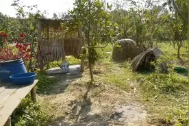 家里没有男人，什么都得自己干，没问题我可以的。视频封面