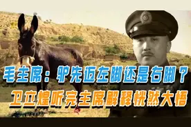 毛主席：驴先迈左脚还是右脚？卫立煌不懂，听完主席解释恍然大悟