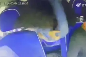 一段视频告诉你，系不系安全带到底有什么区别？视频封面