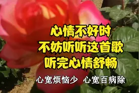 心情不好的时候，就打开听听这首歌，听完让人心情舒畅！