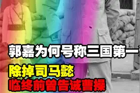 郭嘉为何号称三国第一谋士？临终前曾告诫曹操，除掉司马懿视频封面