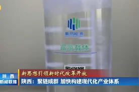 陕西：聚链成群 加快构建现代化产业体系视频封面