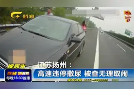 女司机高速上随地小便，被处罚时竟对交警撒泼，监控记录全程视频封面