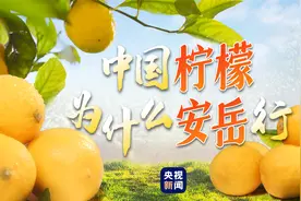 “县”在出发 | 中国柠檬为什么安岳行视频封面